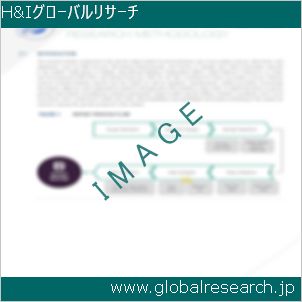 グローバルリサーチ調査レポートのイメージ